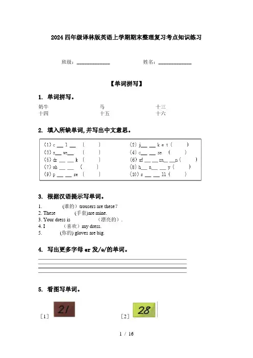 2024四年级译林版英语上学期期末整理复习考点知识练习