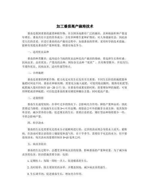 加工番茄高产栽培技术