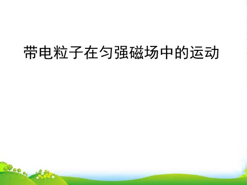 人教版高中物理选修31课件：3.6带电粒子在磁场中的运动+(共12张PPT)