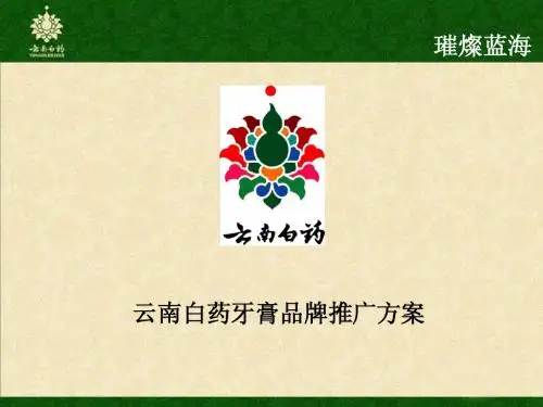云南白药牙膏品牌传播方案