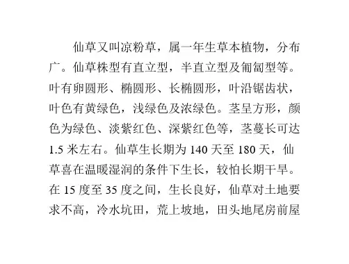 仙草种植技术详细介绍
