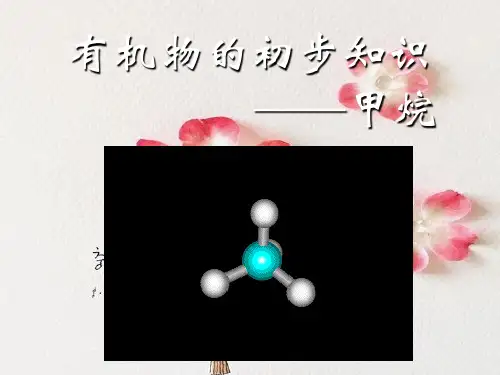 甲烷PPT精品课件
