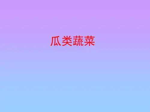 瓜类蔬菜