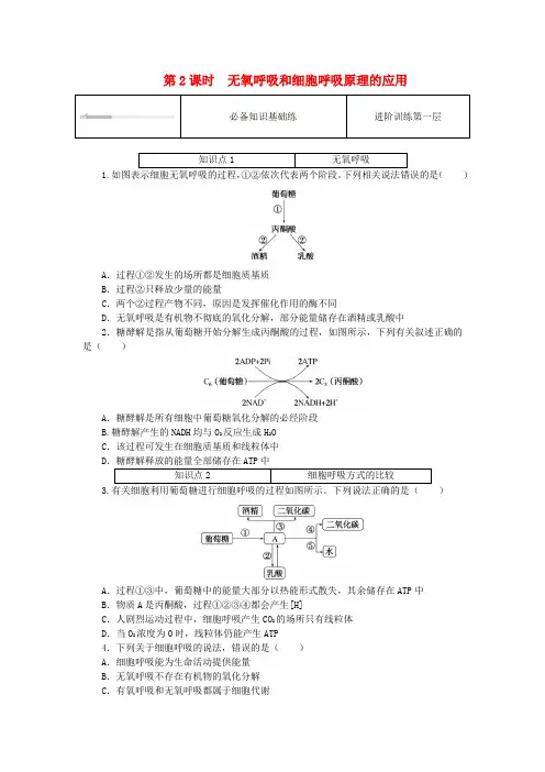 2023_2024学年新教材高中生物第5章细胞的能量供应和利用5