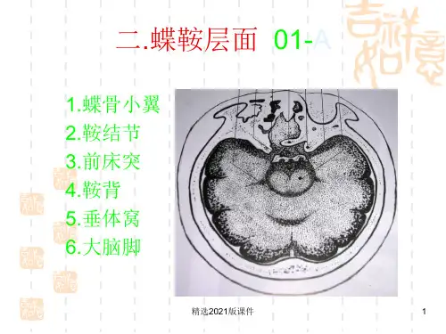 小儿头颅CT图谱