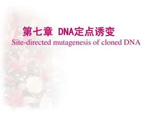第七章 定点诱变