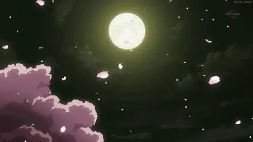 第14课《诗词三首——水调歌头》课件部编版语文九年级上册