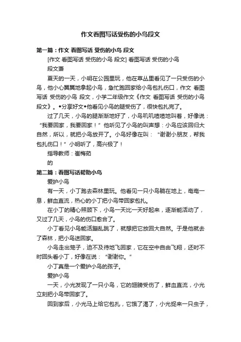 作文看图写话受伤的小鸟段文