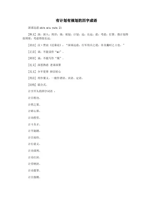 有计划有规划的四字成语
