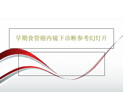 早期食管癌内镜下诊断参考幻灯片共88页