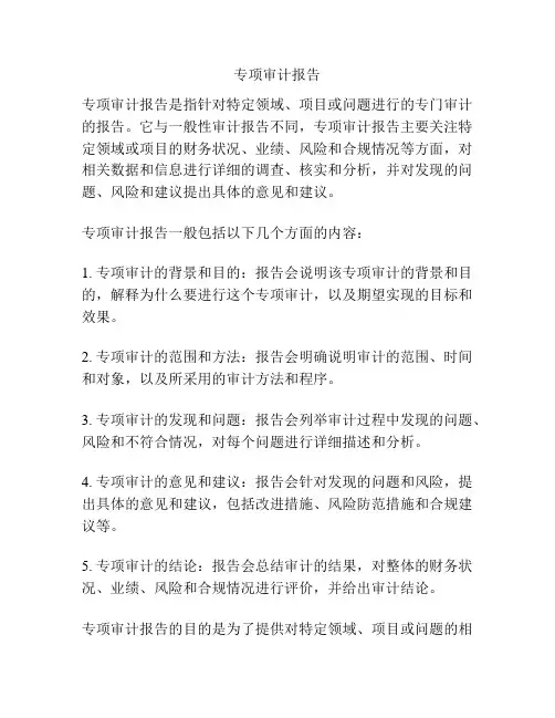 专项审计报告
