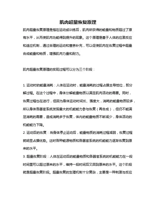 肌肉超量恢复原理