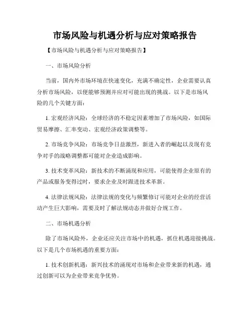 市场风险与机遇分析与应对策略报告