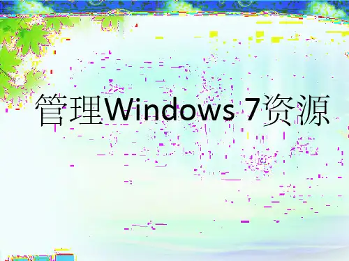 Windows 7资源管理器