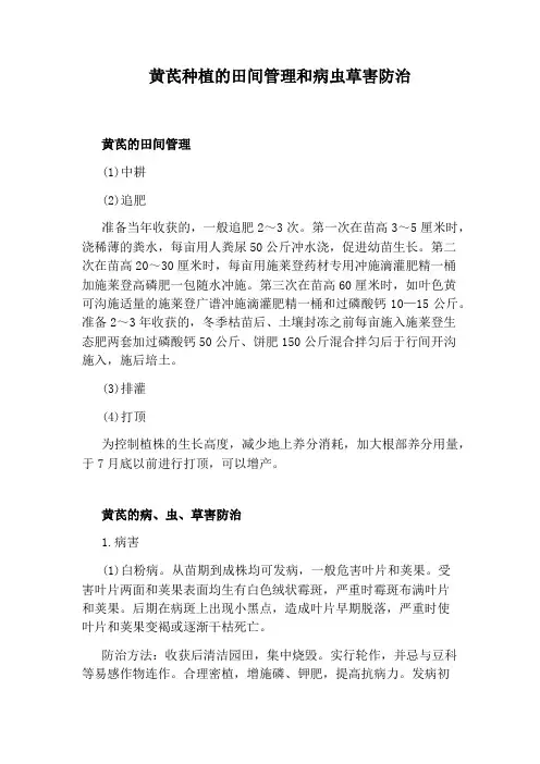 黄芪种植的田间管理和病虫草害防治