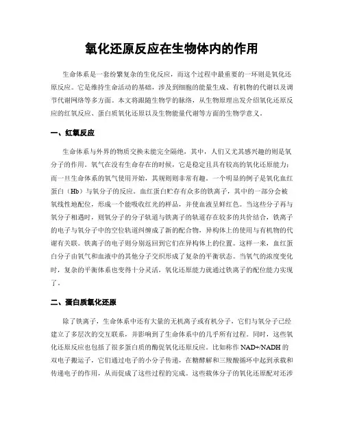 氧化还原反应在生物体内的作用