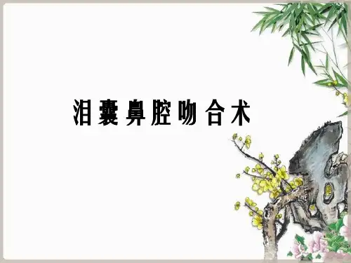泪囊鼻腔吻合术ppt课件