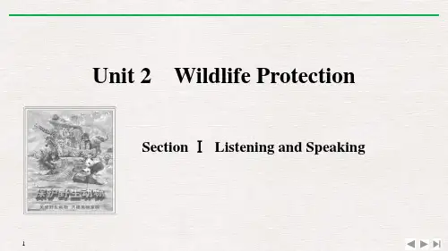 《Wildlife Protection》SectionⅠ PPT课件