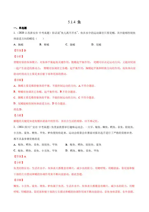 鱼(习题精练)-2021-2022学年八年级生物同步精讲+习题精练(人教版八年级上册)(解析版)