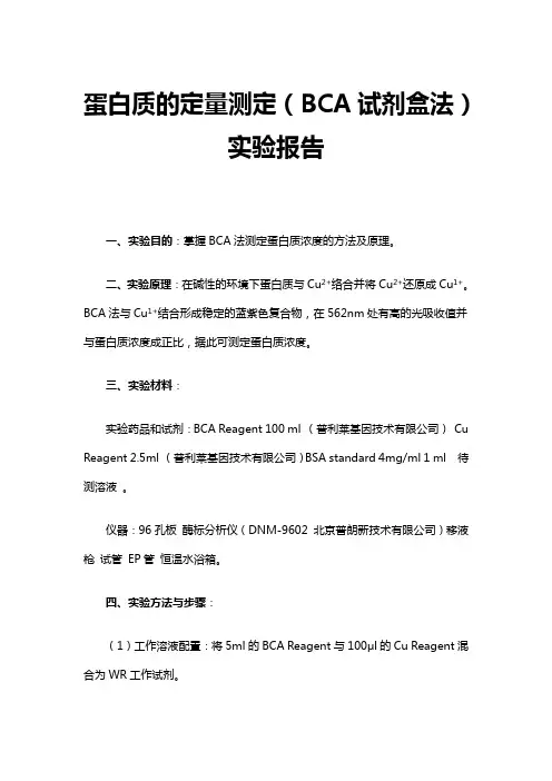 最新原创蛋白质的定量测定实验报告