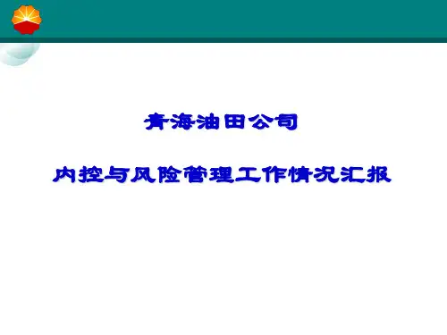 内控与风险管理工作情况汇报