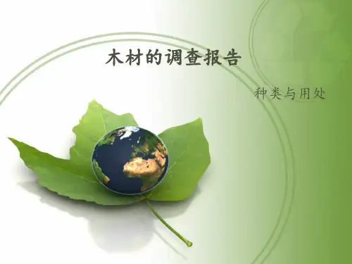 木材的调查报告PPT课件