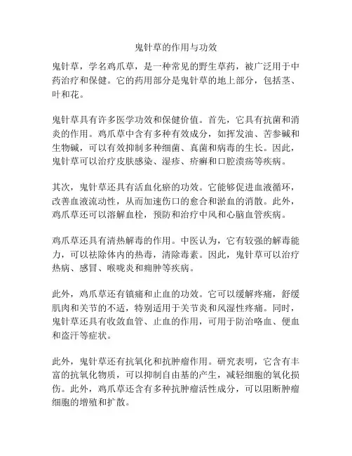 鬼针草的作用与功效