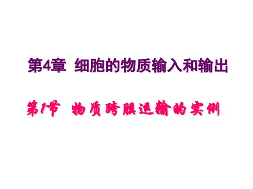 物质跨膜运输的实例和跨膜运输方式一轮复习_ppt