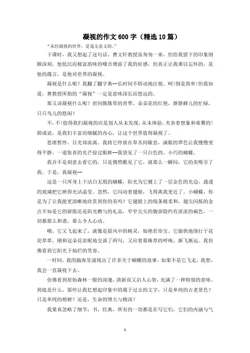 凝视的作文600字范文精选