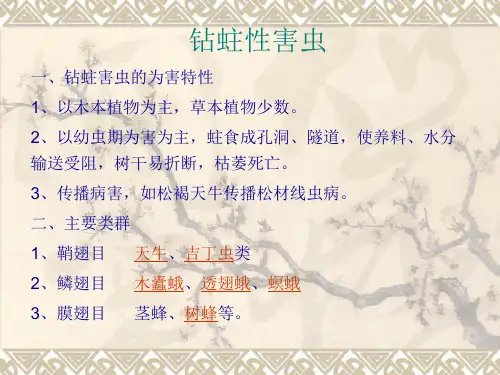 昆虫百科钻蛀性害虫