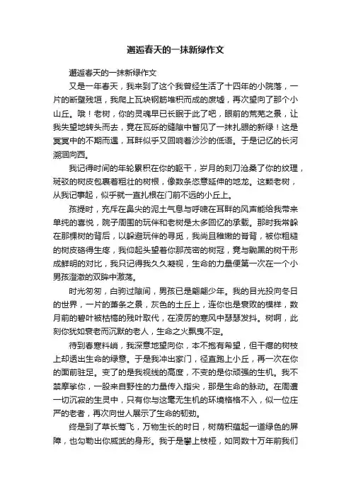 邂逅春天的一抹新绿作文
