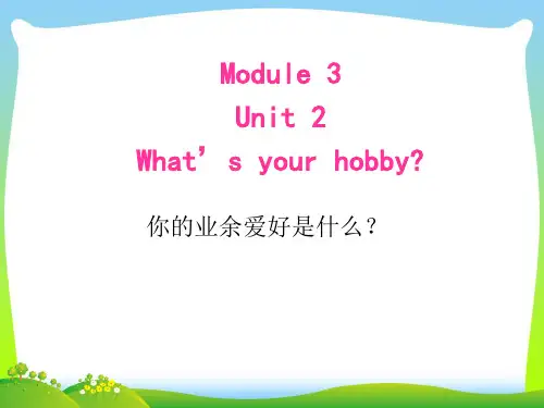 新外研版六年级英语上册M3U2 What's your hobby？课件