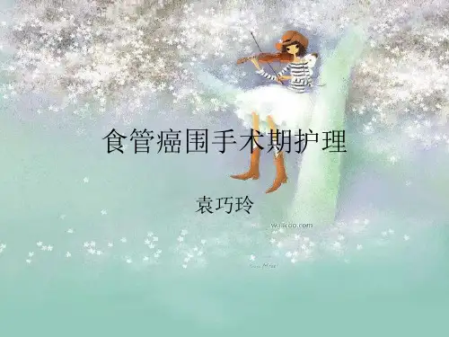 食管癌围手术期护 PPT课件