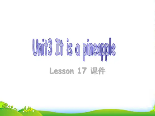 精通版四年级英语上册Unit 3 It's a pineapple Lesson 17 课件3