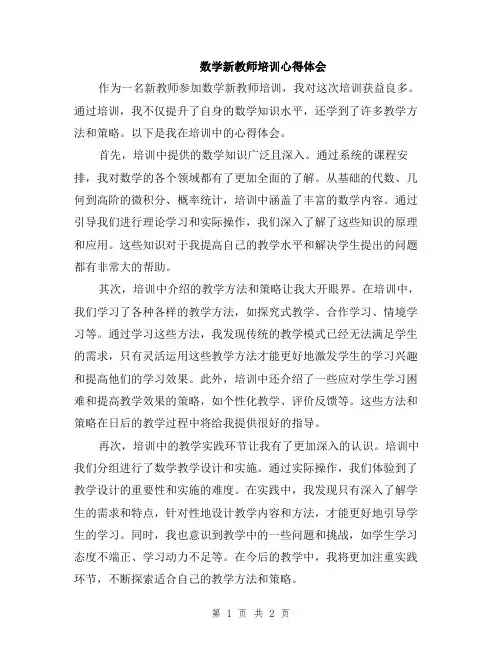 数学新教师培训心得体会