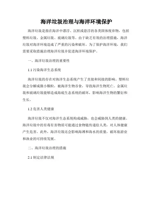 海洋垃圾治理与海洋环境保护