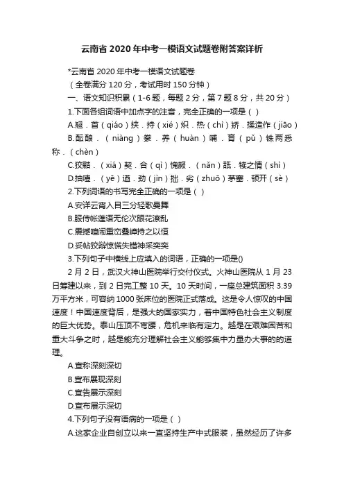 云南省2020年中考一模语文试题卷附答案详析