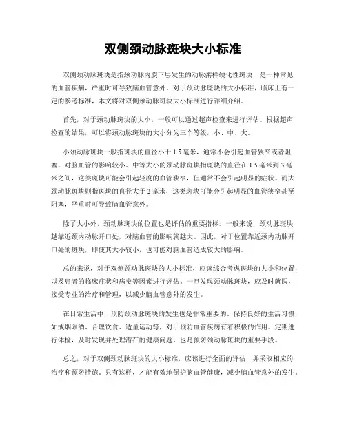 双侧颈动脉斑块大小标准
