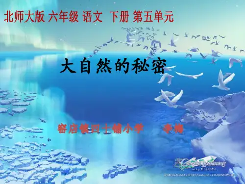 六年级下册语文授课课件-5.3《大自然的秘密》｜北师大版(共15张PPT)