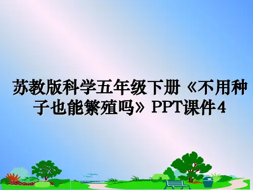 最新苏教版科学五年级下册《不用种子也能繁殖吗》PPT课件4课件PPT