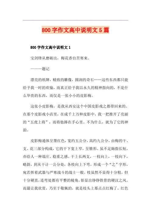 800字作文高中说明文5篇