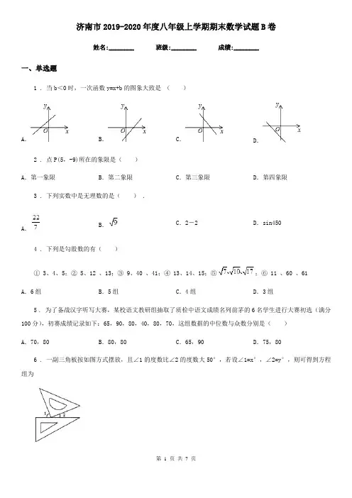 济南市2019-2020年度八年级上学期期末数学试题B卷