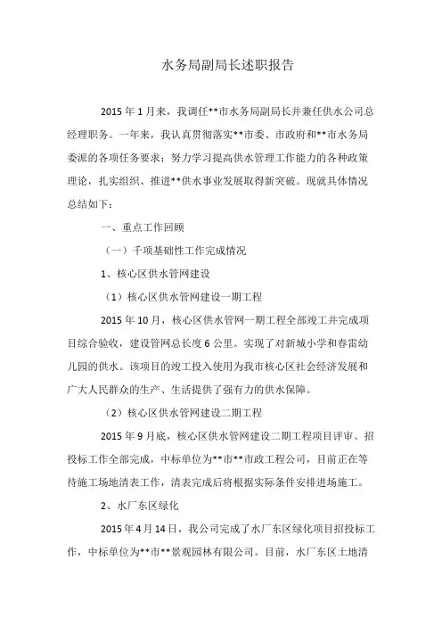 水务局副局长述职报告