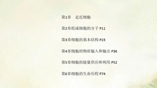 2021新版新教材人教版高中生物必修1分子与细胞各章复习总结课件(期末复习课件)