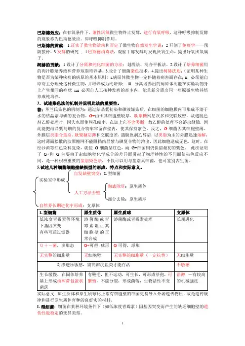 微生物期末考试知识点总结