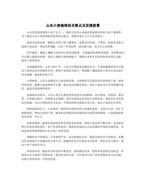 山东小麦栽培技术要点及发展前景