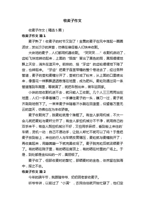 收麦子作文（精选5篇）