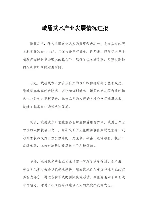 峨眉武术产业发展情况汇报