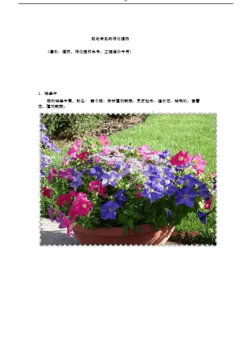 路边常见的绿化植物100余种(灌木、植被,绿化园林参考,工程造价专用)