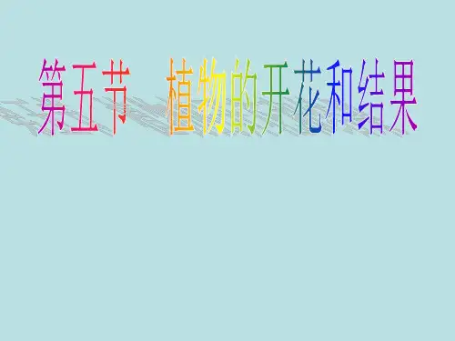 苏教版生物七年级上册3.5.5植物的开花和结果 课件1